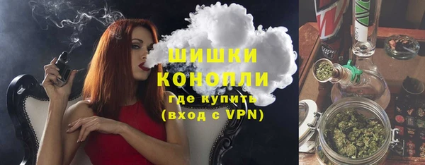 амф Козельск