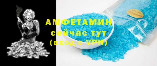 амф Козельск