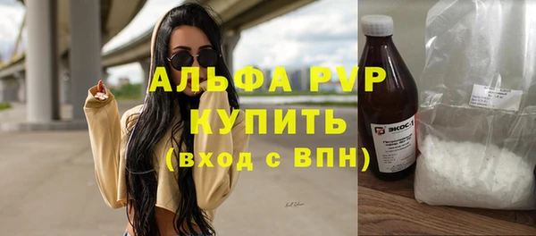 прущие грибы Киренск