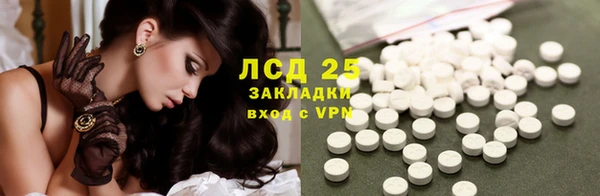 прущие грибы Киренск