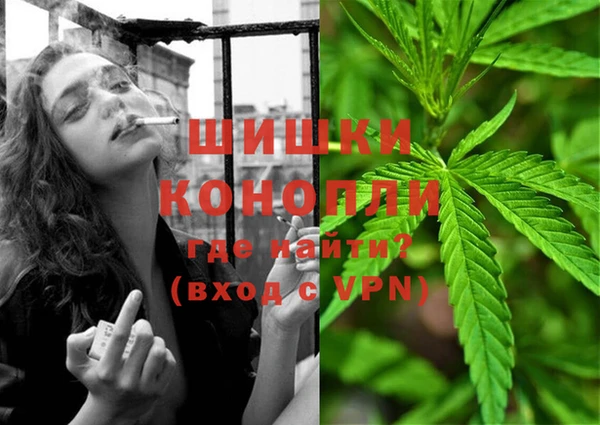 прущие грибы Киренск