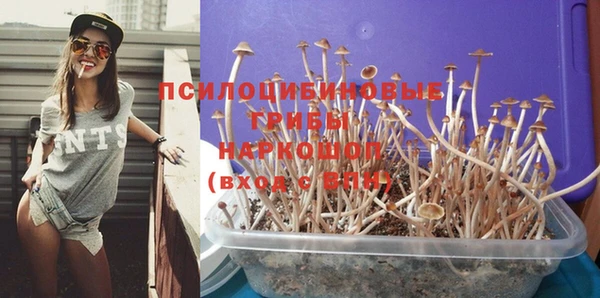 СК Костерёво