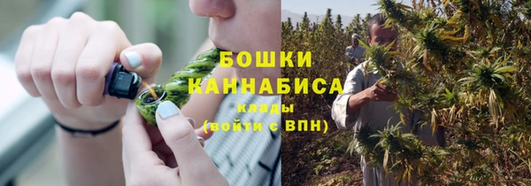 прущие грибы Киренск
