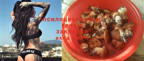 молекула духа Козловка