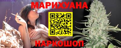 прущие крисы Кингисепп