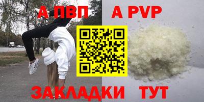 прущие крисы Кингисепп