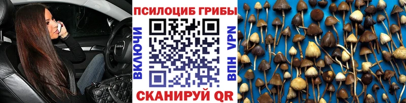 Галлюциногенные грибы мицелий  Костомукша 