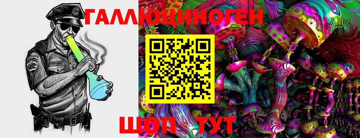 Псилоцибиновые грибы Psilocybine cubensis Костомукша