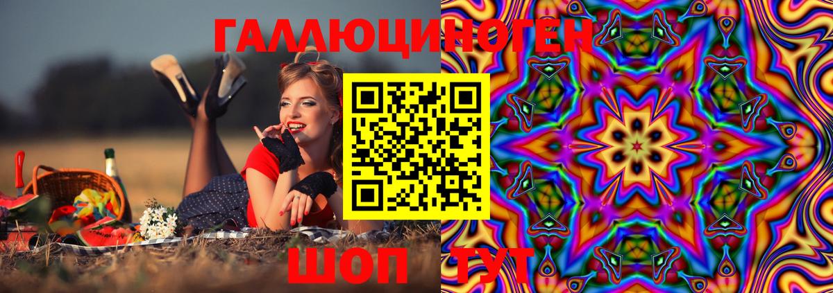 Костомукша  Псилоцибиновые грибы Psilocybe  Вход с VPN 